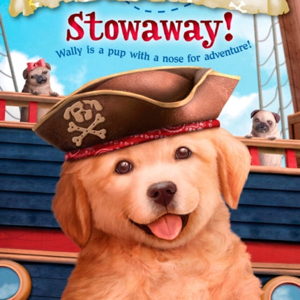 Puppy Pirates #1: Stowaway!