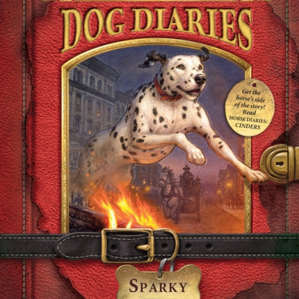 Dog Diaries #9: Sparky (Dog Diaries Special Edition)