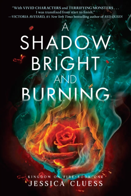 A Shadow Bright and Burning Kingdom on Fire Book
