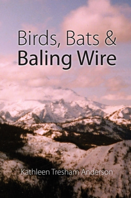 Birds Bats  Baling Wire