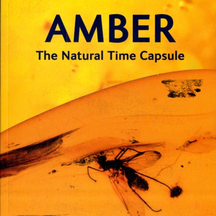 Amber: The Natural Time Capsule