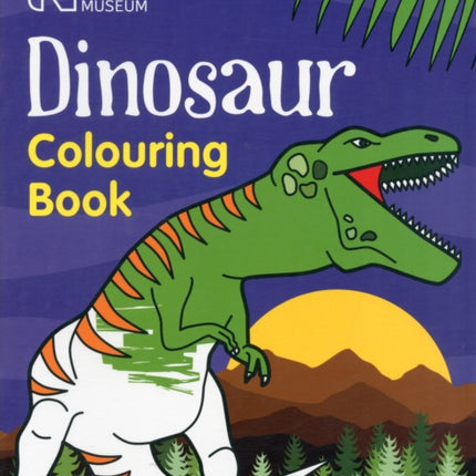 Dinosaur Colouring Book