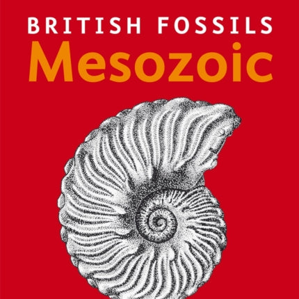 British Mesozoic Fossils