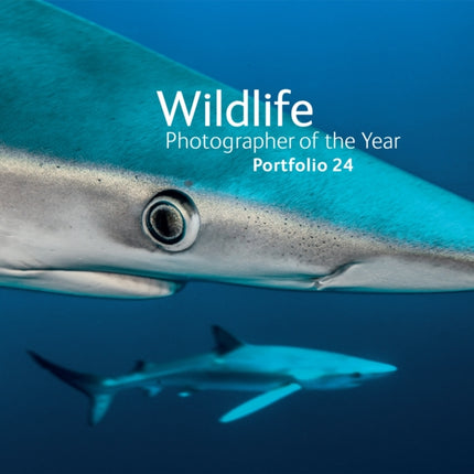 Wildlife Photographer of the Year