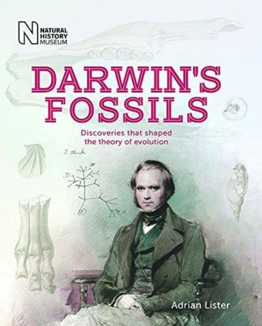 Darwin's Fossils: Discoveries that shaped the theory of evolution