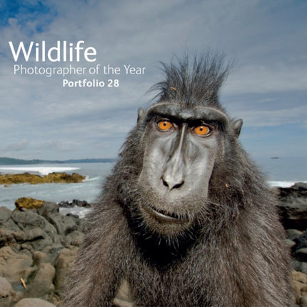 Wildlife Photographer of the Year: Portfolio 28