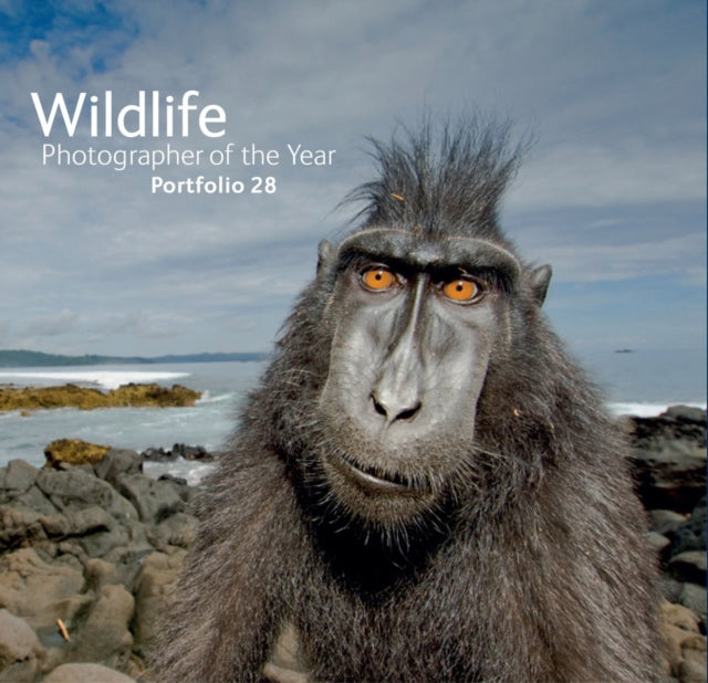 Wildlife Photographer of the Year: Portfolio 28