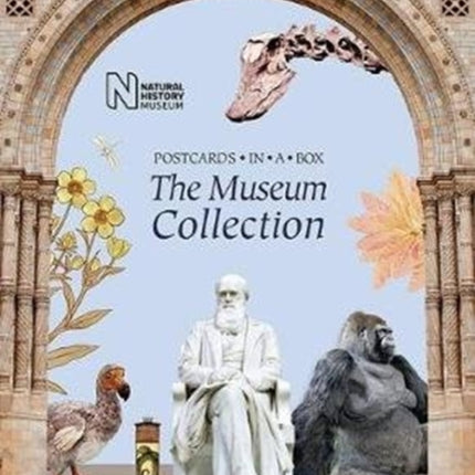 The Museum Collection: Postcards in a Box