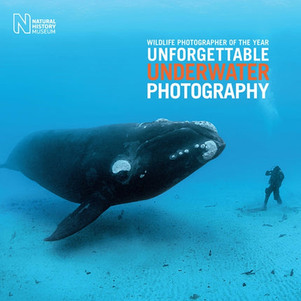 Wildlife Photographer of the Year: Unforgettable Underwater Photography