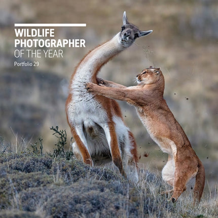 Wildlife Photographer of the Year: Portfolio 29