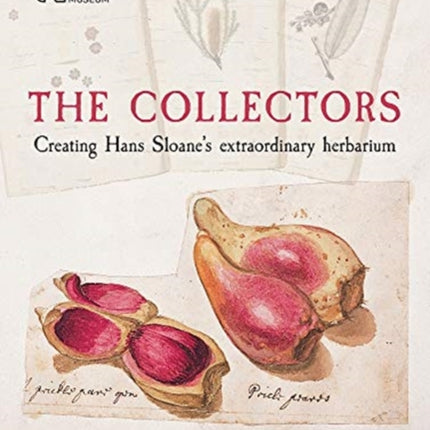 The Collectors: Creating Hans Sloane's Extraordinary Herbarium