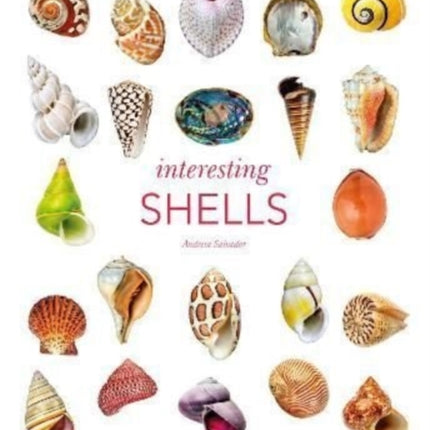 Interesting Shells