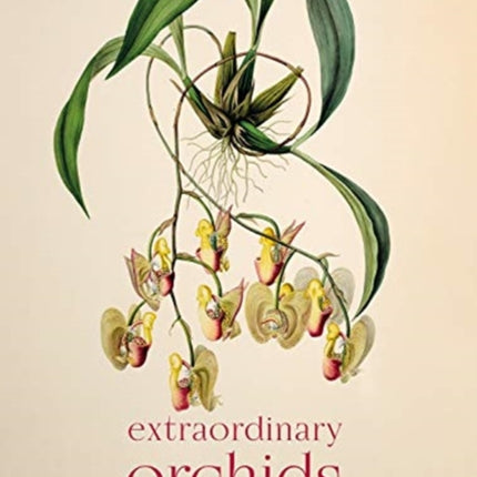 Extraordinary Orchids