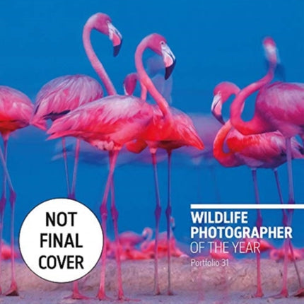 Wildlife Photographer of the Year: Portfolio 31