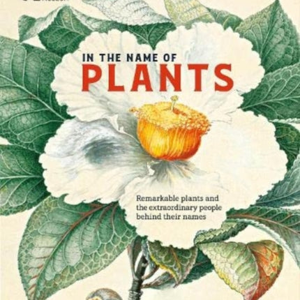 In the Name of Plants: Remarkable plants and the extraordinary people behind their names