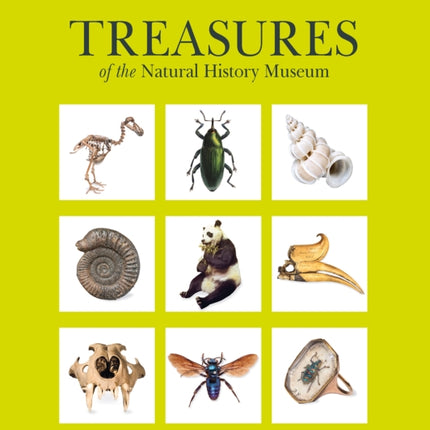 Treasures of the Natural History Museum: (Pocket edition)