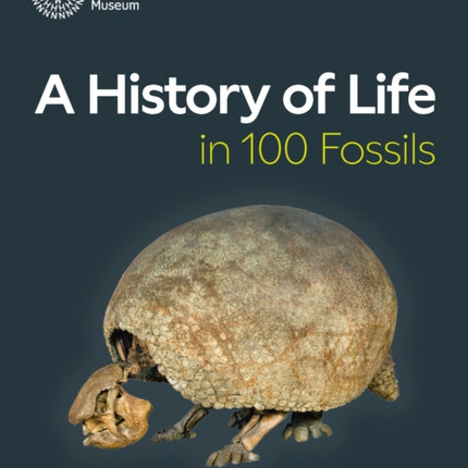 A History of Life in 100 Fossils