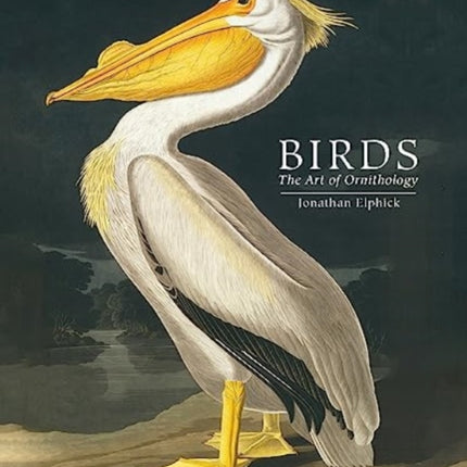 Birds: The Art of Ornithology (Pocket edition)