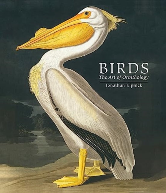 Birds: The Art of Ornithology (Pocket edition)