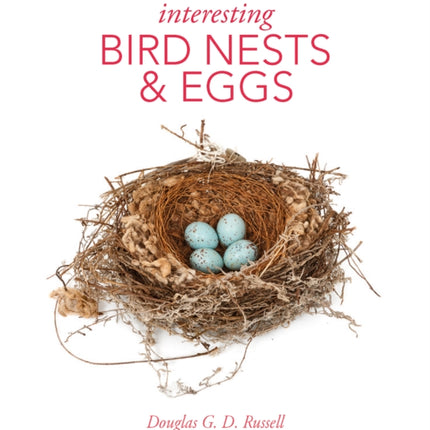 Interesting Bird Nests and Eggs