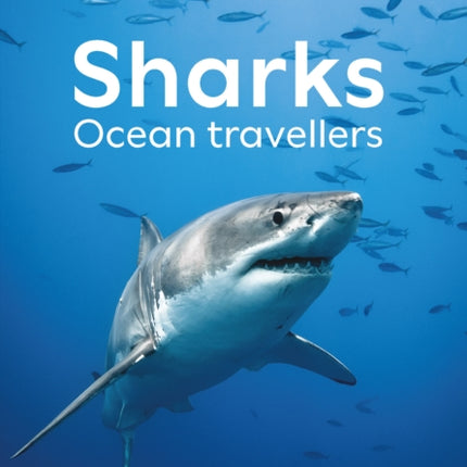 Sharks