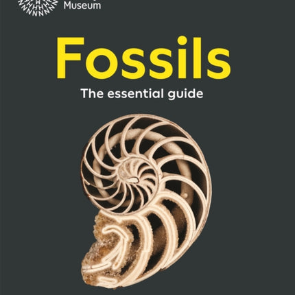 Fossils