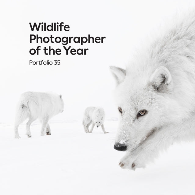 Wildlife Photographer of the Year Portfolio 35