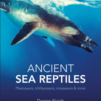 Ancient Sea Reptiles