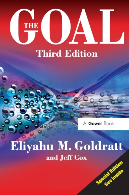 The Goal: A Process of Ongoing Improvement