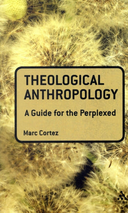 Theological Anthropology A Guide for the