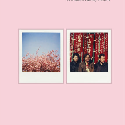 Death of a Polaroid  A Manics Family Album