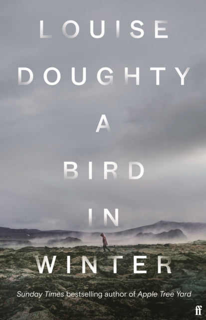 A Bird in Winter: 'Nail-bitingly tense and compelling' Paula Hawkins