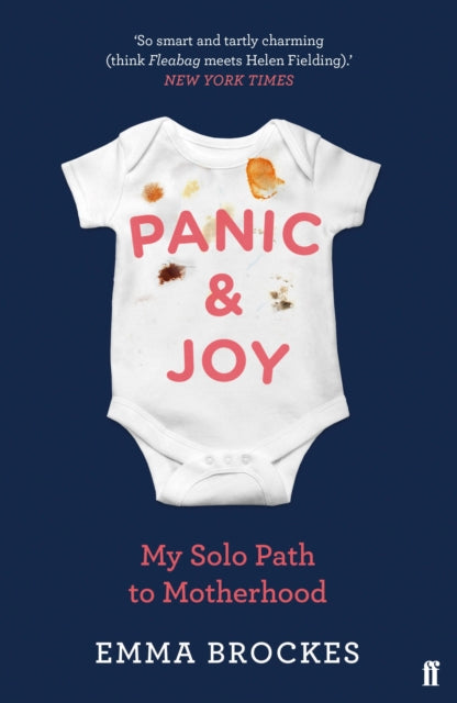 Panic & Joy: My Solo Path to Motherhood