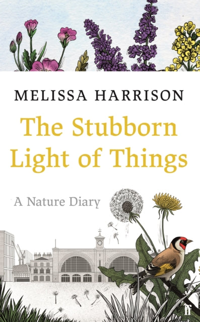 The Stubborn Light of Things