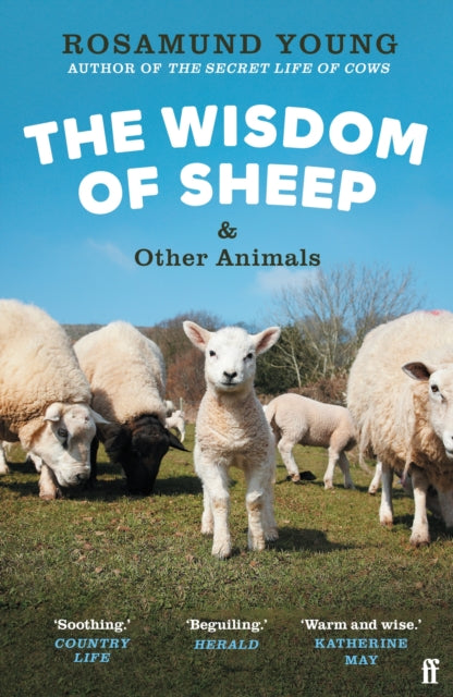 The Wisdom of Sheep  Other Animals