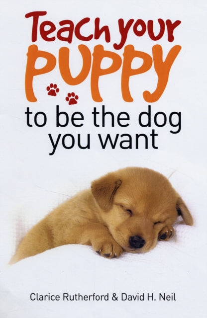 Teach Your Puppy to be the Dog You Want