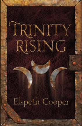 Trinity Rising The Wild Hunt Book Two 24
