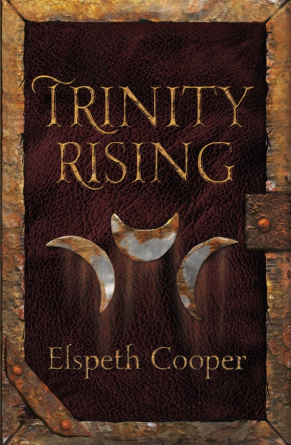 Trinity Rising The Wild Hunt Book Two 24