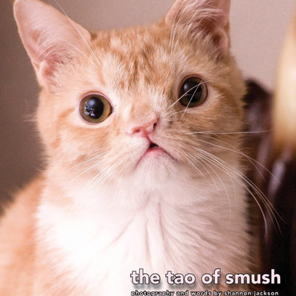 The Tao of Smush 1