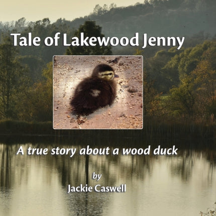 Tale of Lakewood Jenny A true story about a wood