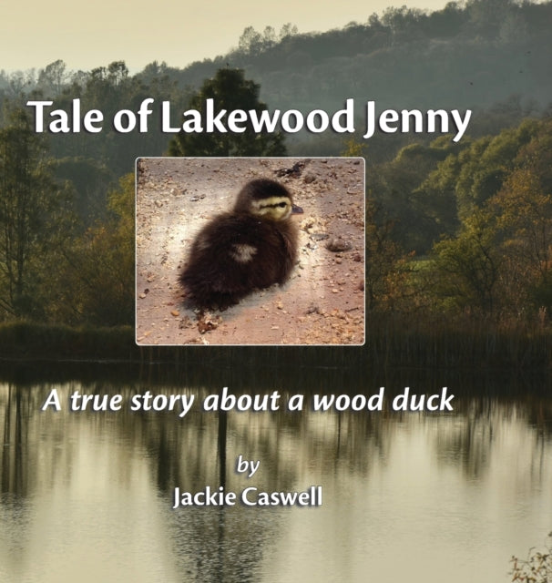 Tale of Lakewood Jenny A true story about a wood