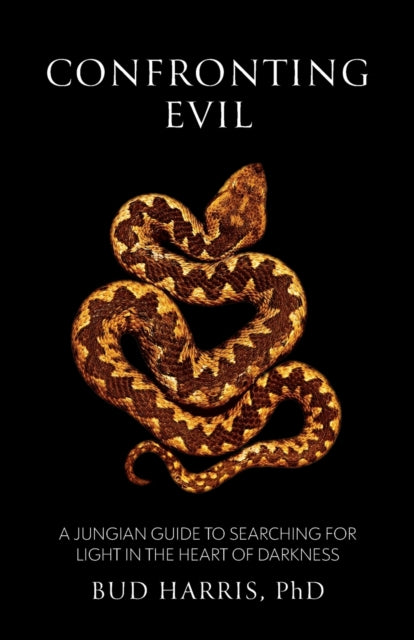 Confronting Evil A Jungian Guide to Searching for Light In the Heart of Darkness