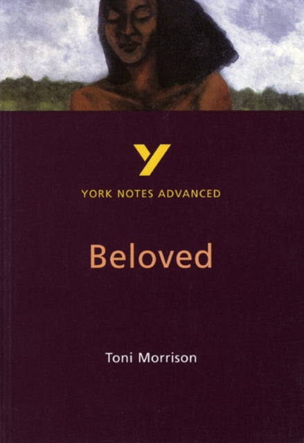 Toni Morrison Beloved everything you need to