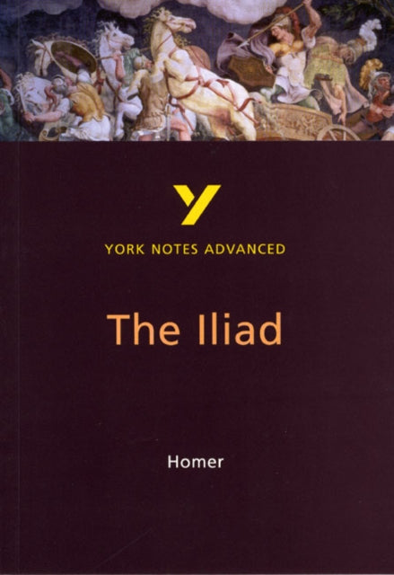 The Iliad York Notes Advanced  everything you