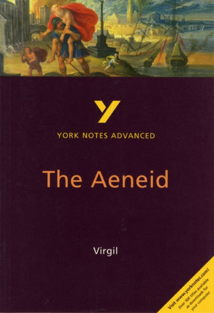 The Aeneid York Notes Advanced  everything you