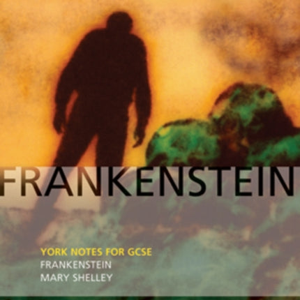 Frankenstein York Notes for GCSE