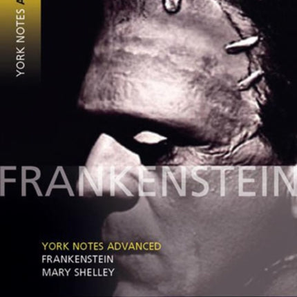 Frankenstein everything you need to study and