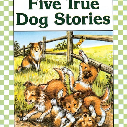 Five True Dog Stories