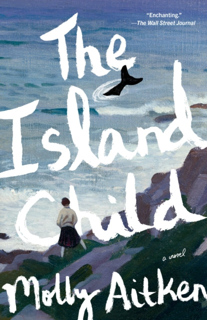 The Island Child: A novel