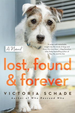 Lost, Found, And Forever: A Novel